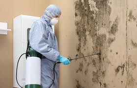 Trusted Los Alamos, CA Mold Removal Services Experts